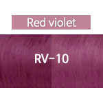 RV10