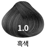 1.0 흑색