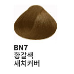 BN7 황갈색