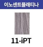 11-iPT