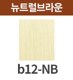[보떼] b12-NB