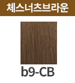 [보떼] b9-CB