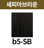 [보떼] b5-SB