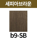 [보떼] b9-SB