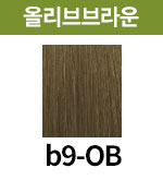 [보떼] b9-OB