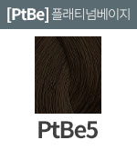 [엔리치] PtBe5 (새치)