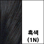 1N 흑색