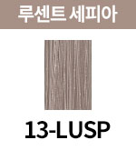 13-LUSP