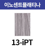 [올디브] 13-iPT