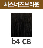 [보떼] b4-CB